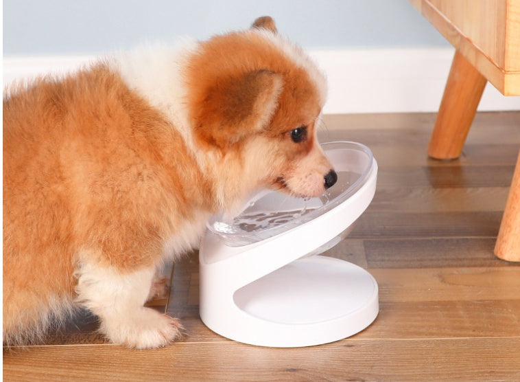 Elevated Tilt Pet Bowl – Orthopedic Design for Healthy Eating