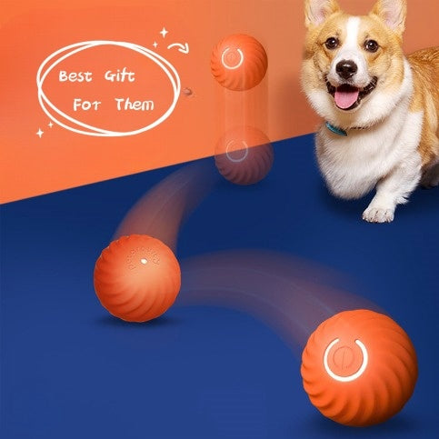 Puppy Training Rubber Ball – Durable & Safe Dog Toy